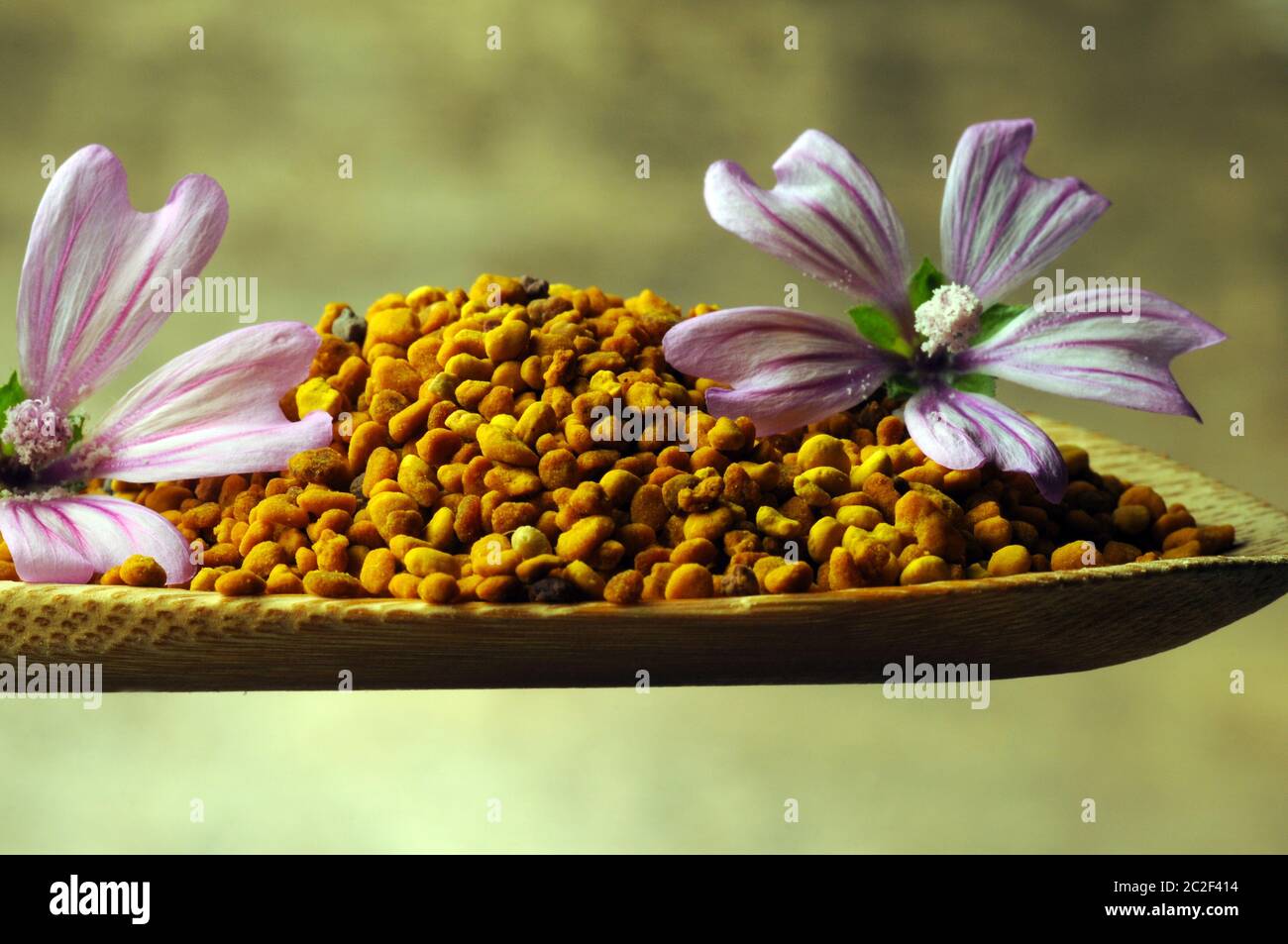Pollen granuleux avec fleur de malow Banque D'Images