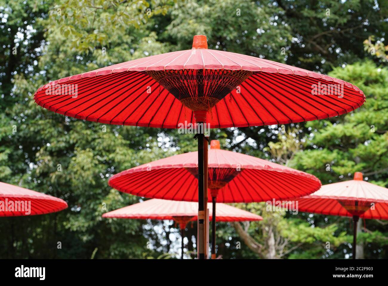 Parapluie rouge et utilisé dans la cérémonie du thé japonais Matcha Banque D'Images