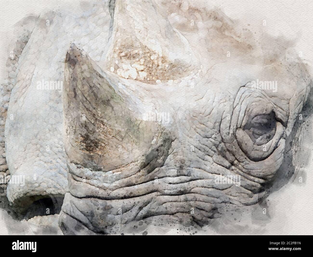 aquarelle d'un visage de rhinocéros noirs Banque D'Images