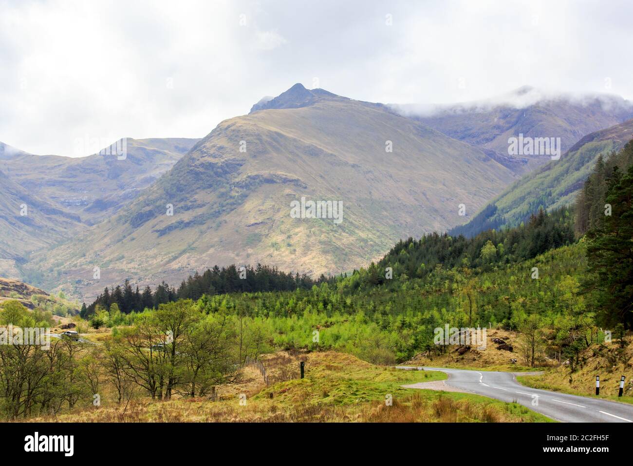 Arbres forestiers à Glen Nevis les Highlands écossais Banque D'Images