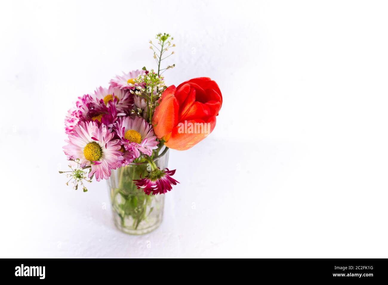 Tulipe et fleurs roses dans une tasse de verre sur fond blanc. Banque D'Images