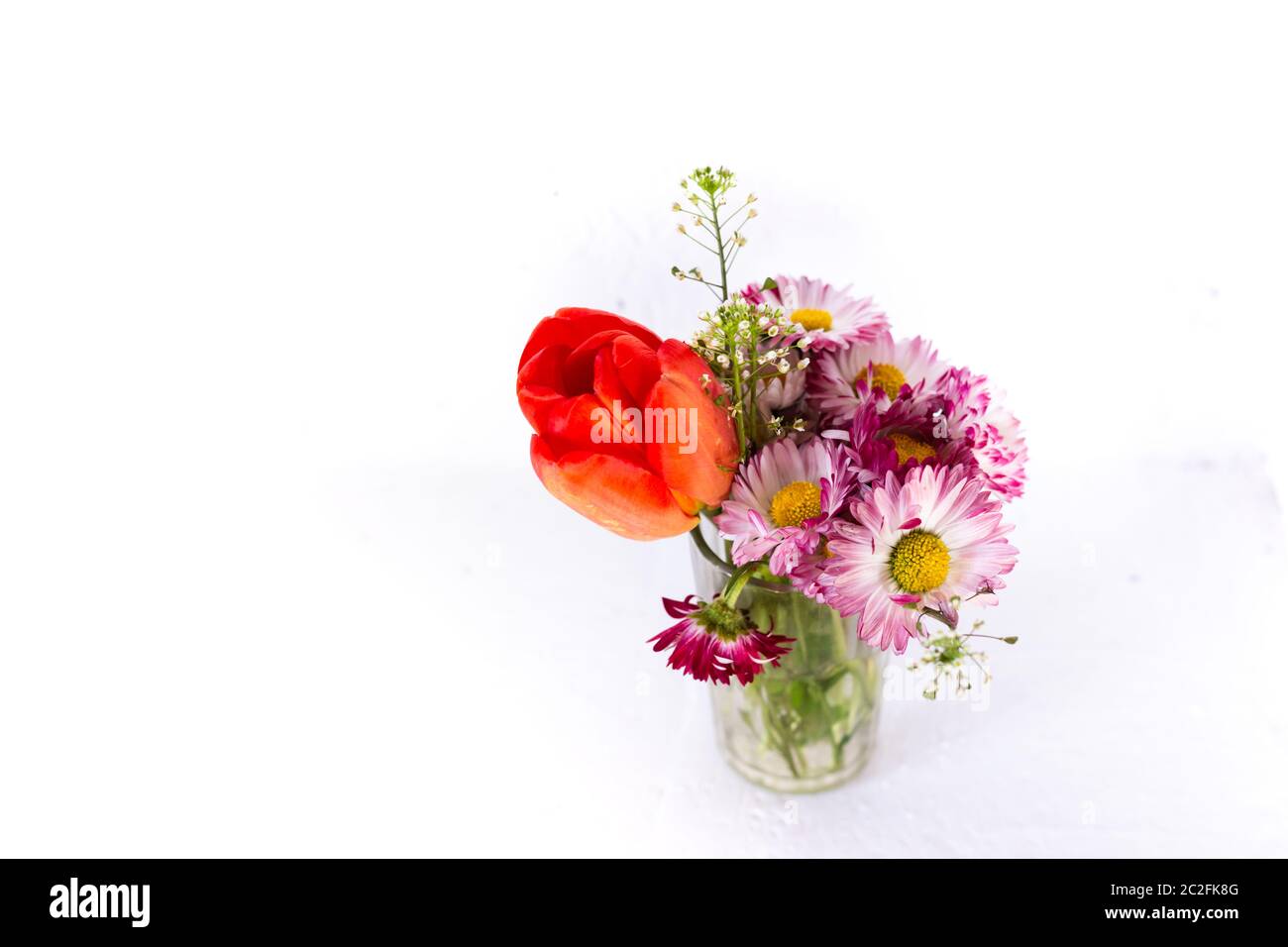 Tulipe et fleurs roses dans une tasse de verre sur fond blanc. Banque D'Images