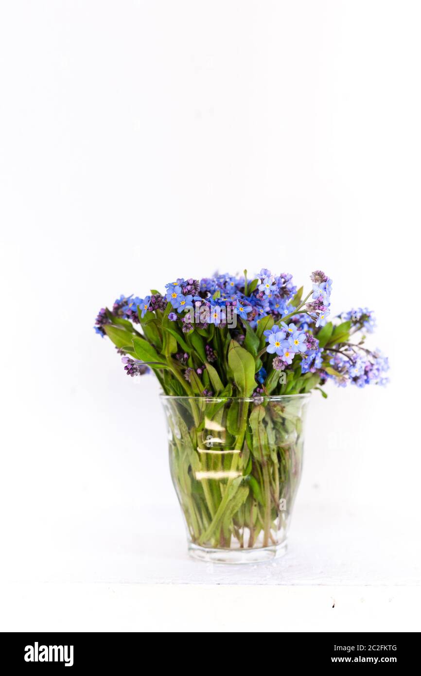 Fleurs sauvages bleues dans une tasse de verre contre un mur blanc. Fond blanc. Oubliez-moi non. Banque D'Images