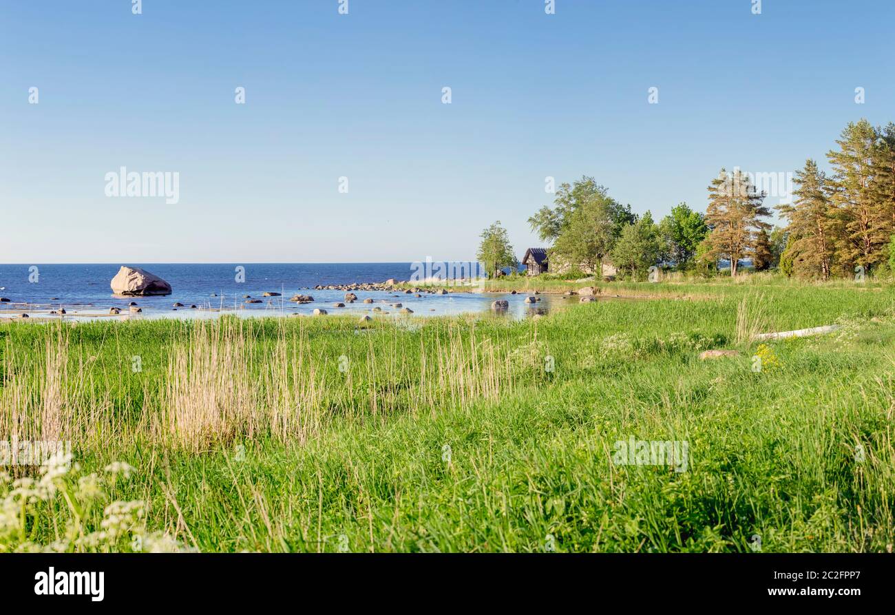 Petit village Altja à Lääne-Viru, région de Haljala en Estonie, Europe. Vue panoramique sur la végétation de la plage de Lash, mer Baltique bleue. Banque D'Images