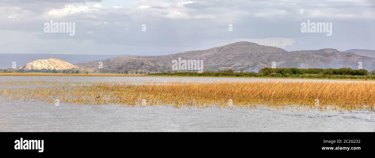 Vaste panorama d'Ethiopian lac Ziway. La région d'Oromia en Éthiopie, Afrique désert Banque D'Images