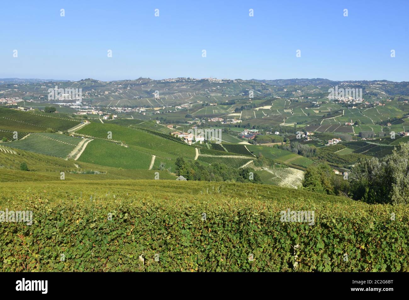 Panorama des vignobles de Langhe Banque D'Images