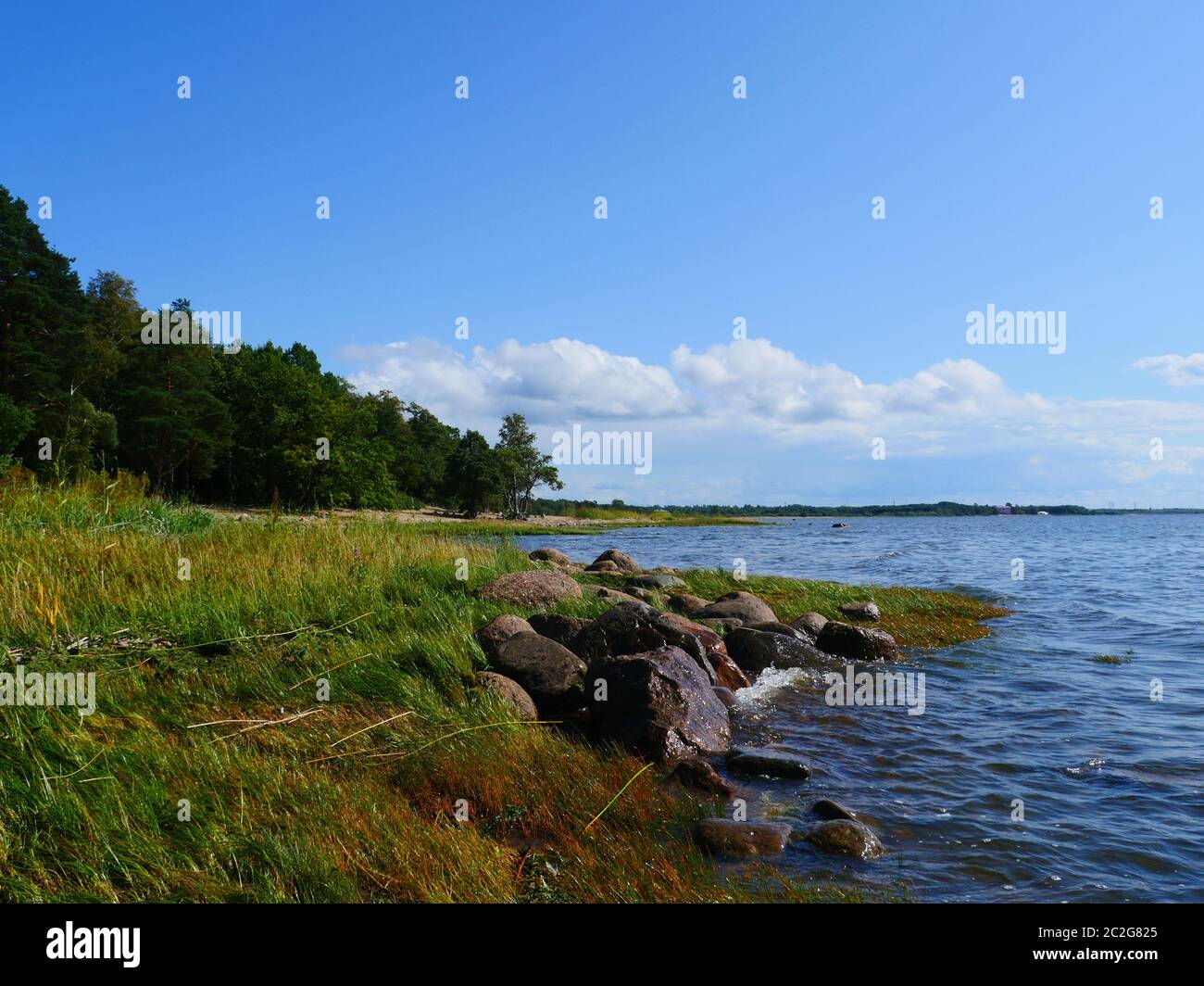 Côte rocheuse du lac, paysage d'été, la Finlande Banque D'Images