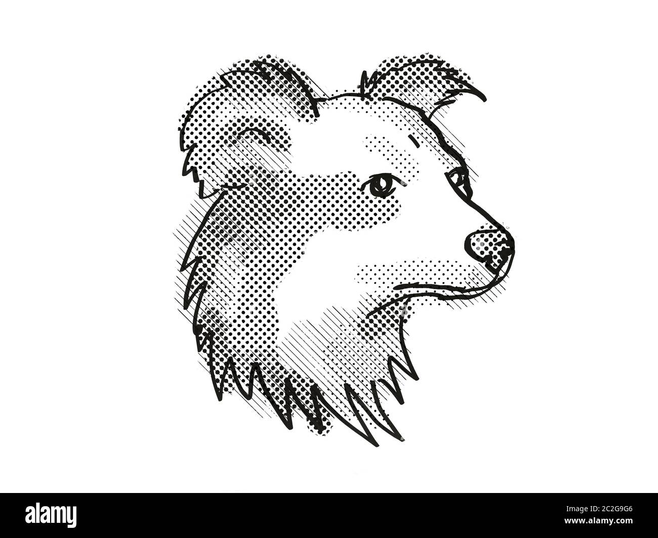 Retro cartoon style dessin de tête d'un Shetland Sheepdog , un chien