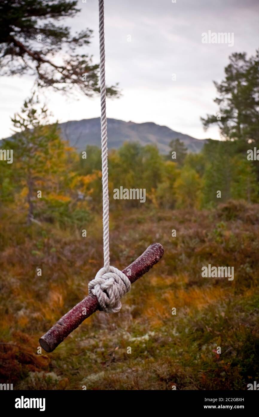 Balançoire naturelle autoconstruite dans la nature norvégienne. Banque D'Images