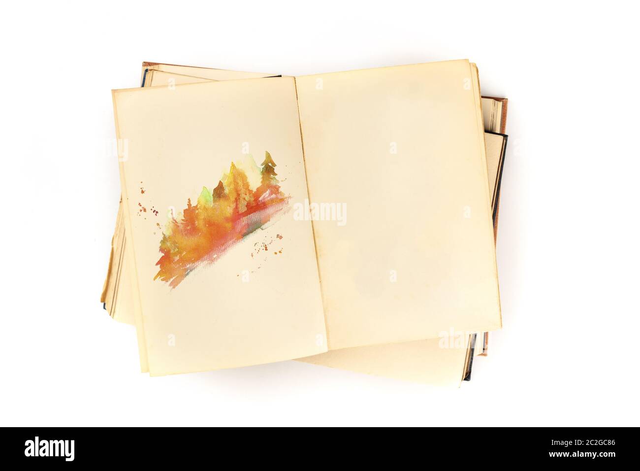 Modèle de conception d'automne. Journal botanique ouvert avec un croquis aquarelle des arbres d'automne. Maquette d'un album d'esquisse, prise de vue Banque D'Images Modèle de conception d'automne. Journal botanique ouvert avec un croquis aquarelle des arbres d'automne. Maquette d'un album d'esquisse, prise de vue Banque D'Images