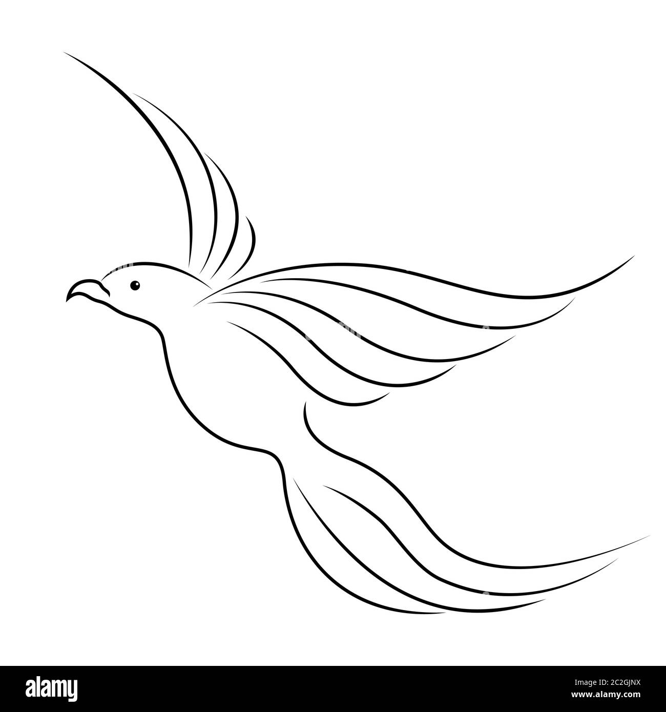 Contour noir de l'oiseau volant magique isolé sur le fond blanc Illustration de Vecteur