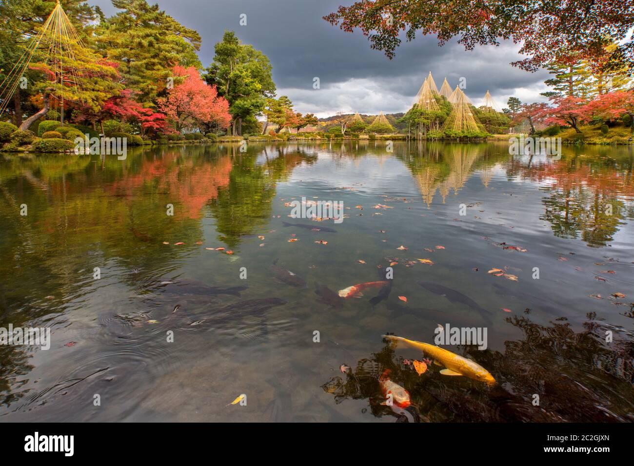 Le jardin Kenrokuen avec carpes dans un momijigari pnod durant la saison, la ville de Kanazawa, Ishikawa Prefecture, Japan Banque D'Images