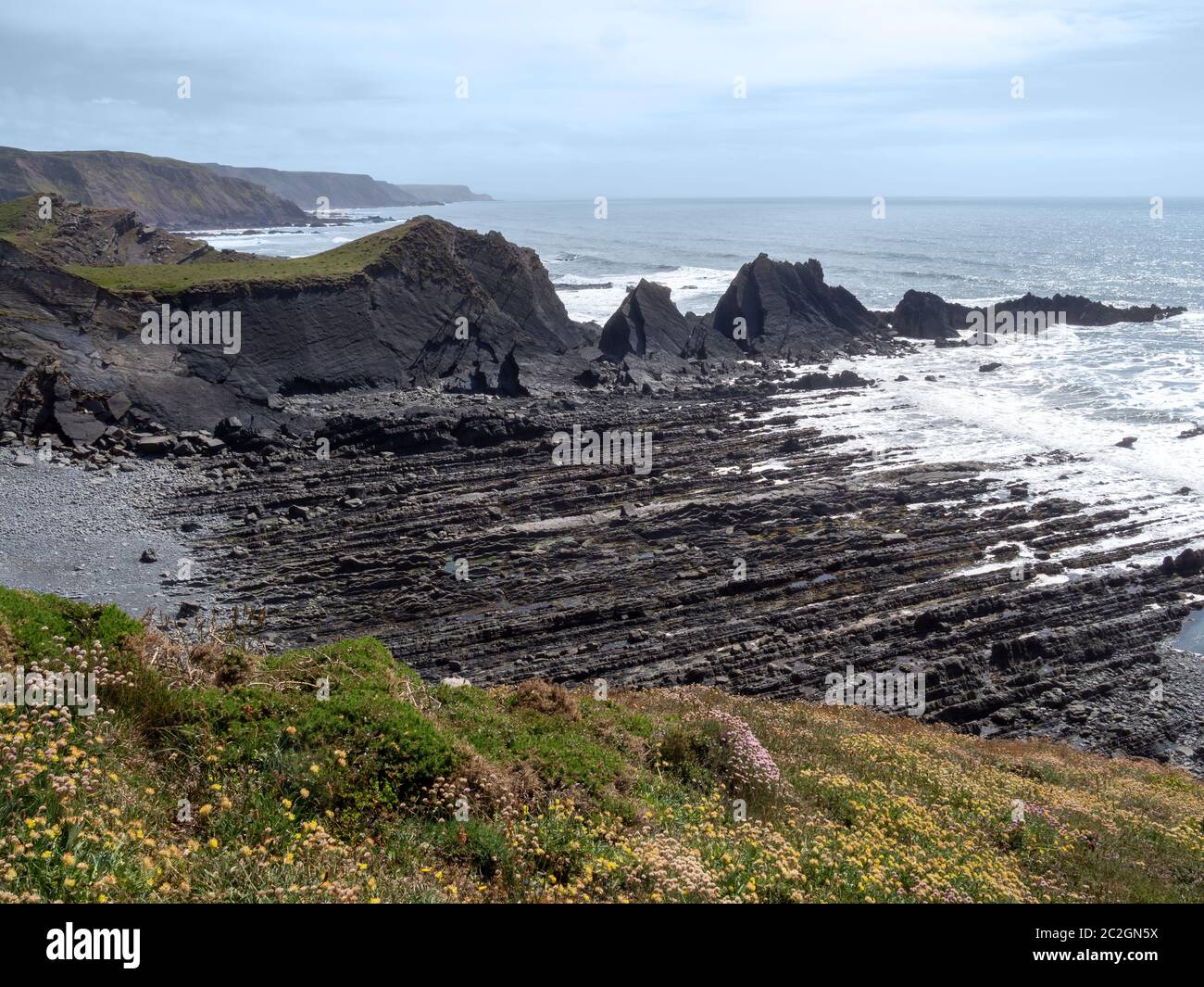 Le littoral spectaculaire et accidenté de Hartland Quay, au nord du Devon. Orienté sud. Banque D'Images