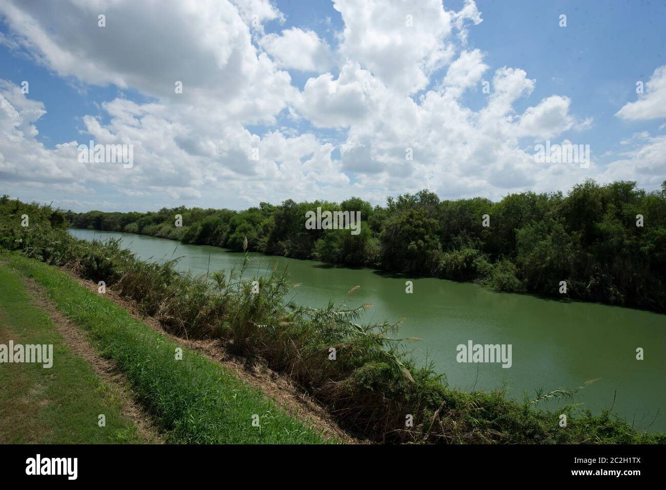 Comté de Hidalgo Texas États-Unis, 23 septembre 2014: Lignes de broussailles épaisses les rives de la rivière Rio Grande près du parc Anzalduas au sud de Mission, en regardant vers le sud dans le Mexique. En dépit de la traversée difficile, les immigrants illégaux parviennent régulièrement à traverser le fleuve avec succès et se faufilent aux États-Unis. ©Bob Daemmrich Banque D'Images