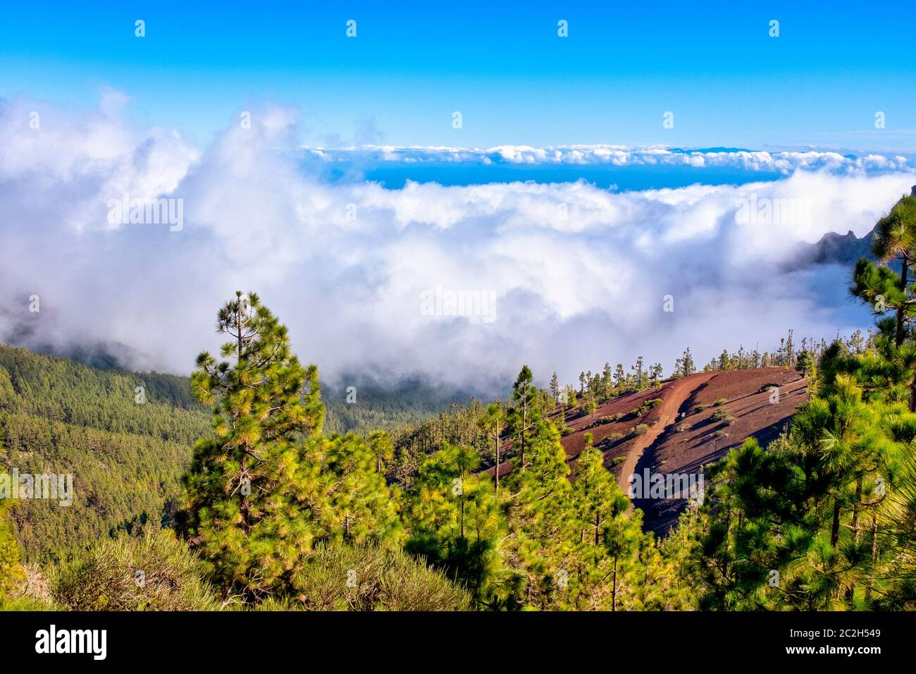 Parc national du Mont Teide, Tenerife, Iles Canaries, Espagne Banque D'Images