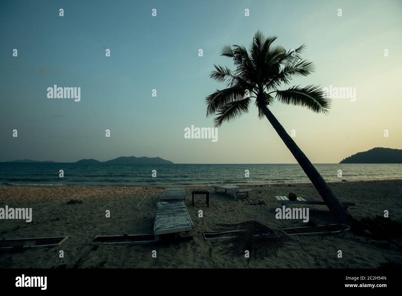 Des silhouettes de palmiers sur une plage tropicale au crépuscule. Banque D'Images