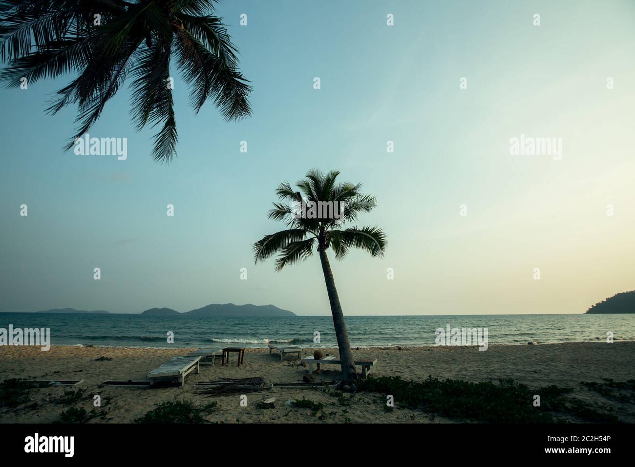 Palmiers sur une plage tropicale au beau crépuscule. Banque D'Images