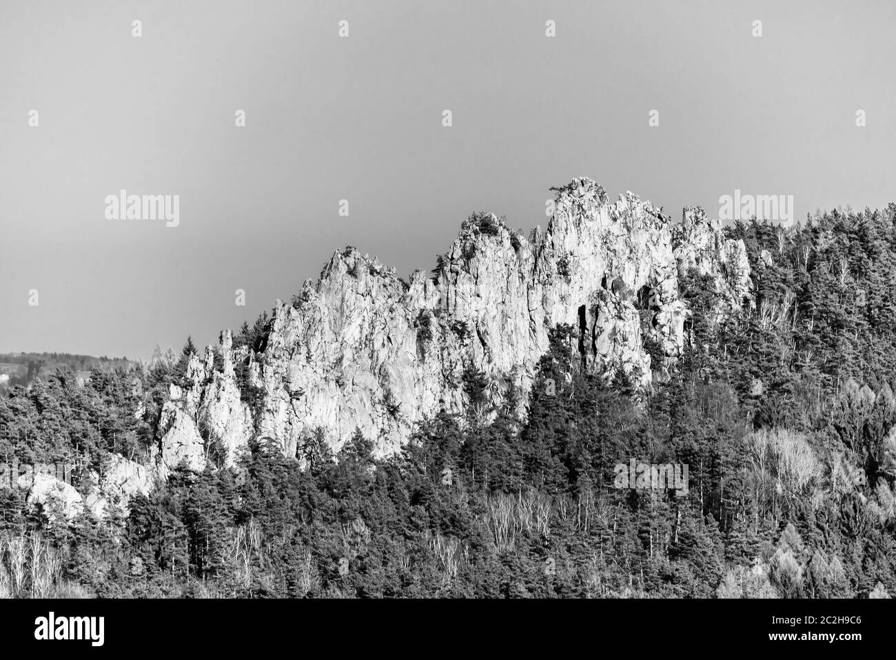 Dry Rocks, Tchèque: Suche skaly. Formation de grès à Boemian Paradise, République tchèque. Image en noir et blanc. Banque D'Images