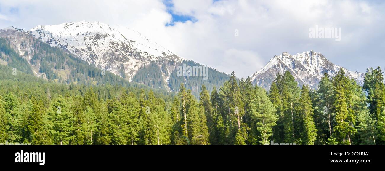 Photo magnifique de vallée du Cachemire (le paradis sur terre). Belle vue sur la vallée de Betaab entouré par la neige des montagnes et des glaciers de l'himalaya congelés g Banque D'Images