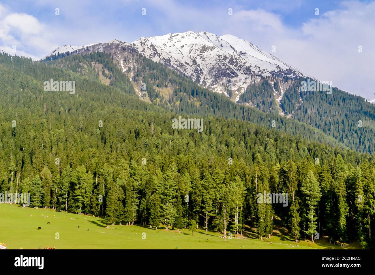 Photo magnifique de vallée du Cachemire (le paradis sur terre). Belle vue sur Yusmarg village entouré par la neige des montagnes et des glaciers de l'himalaya congelés Banque D'Images