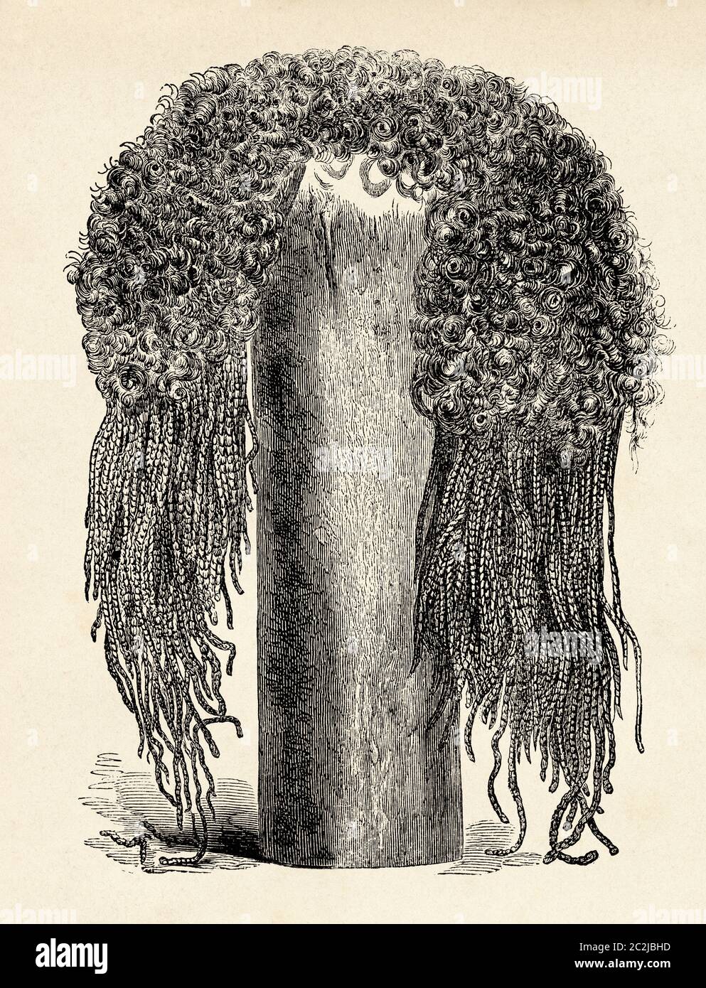 Une ancienne perruque égyptienne, l'Égypte ancienne. Illustration gravée du  XIXe siècle, El Mundo Ilustrado 1880 Photo Stock - Alamy