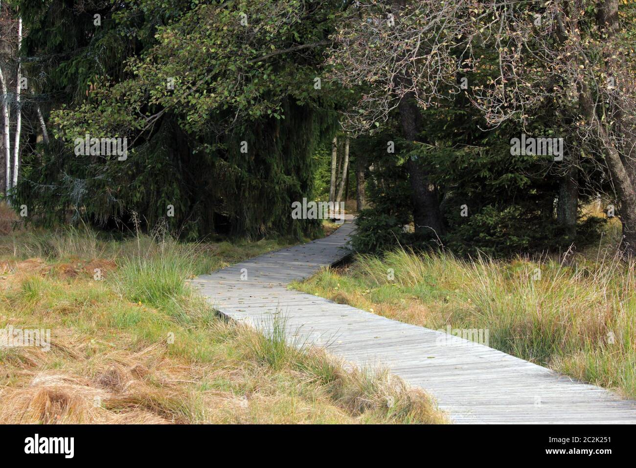 Passerelle en bois dans la zone de la lande de Slavkovský les Banque D'Images