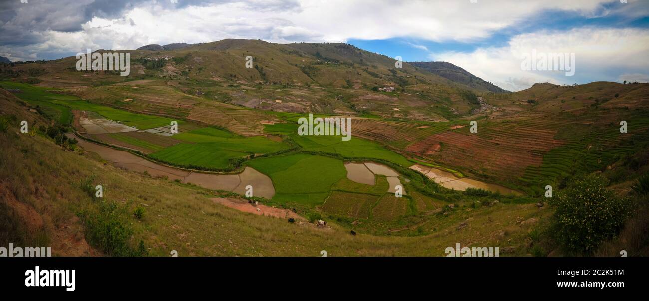 Paysage avec les rizières à Ambalavao Fianarantsoa, Madagascar Banque D'Images