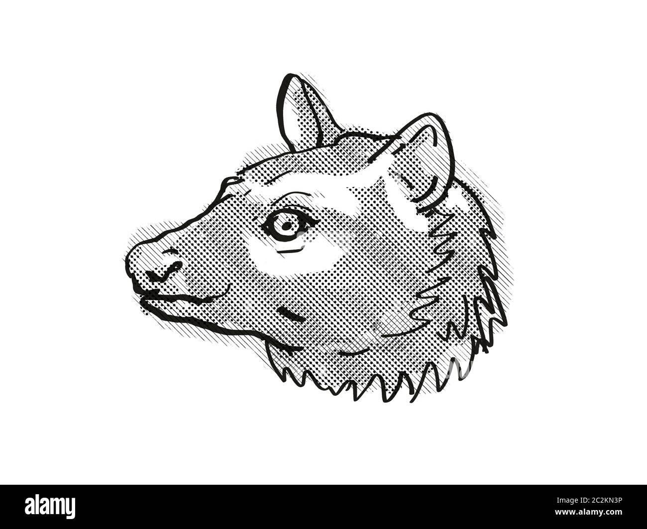 Retro cartoon style dessin de tête d'une civette asiatique ou Palm Palm commune , une civette espèces en péril espèces isolées sur fond blanc fait dans Banque D'Images