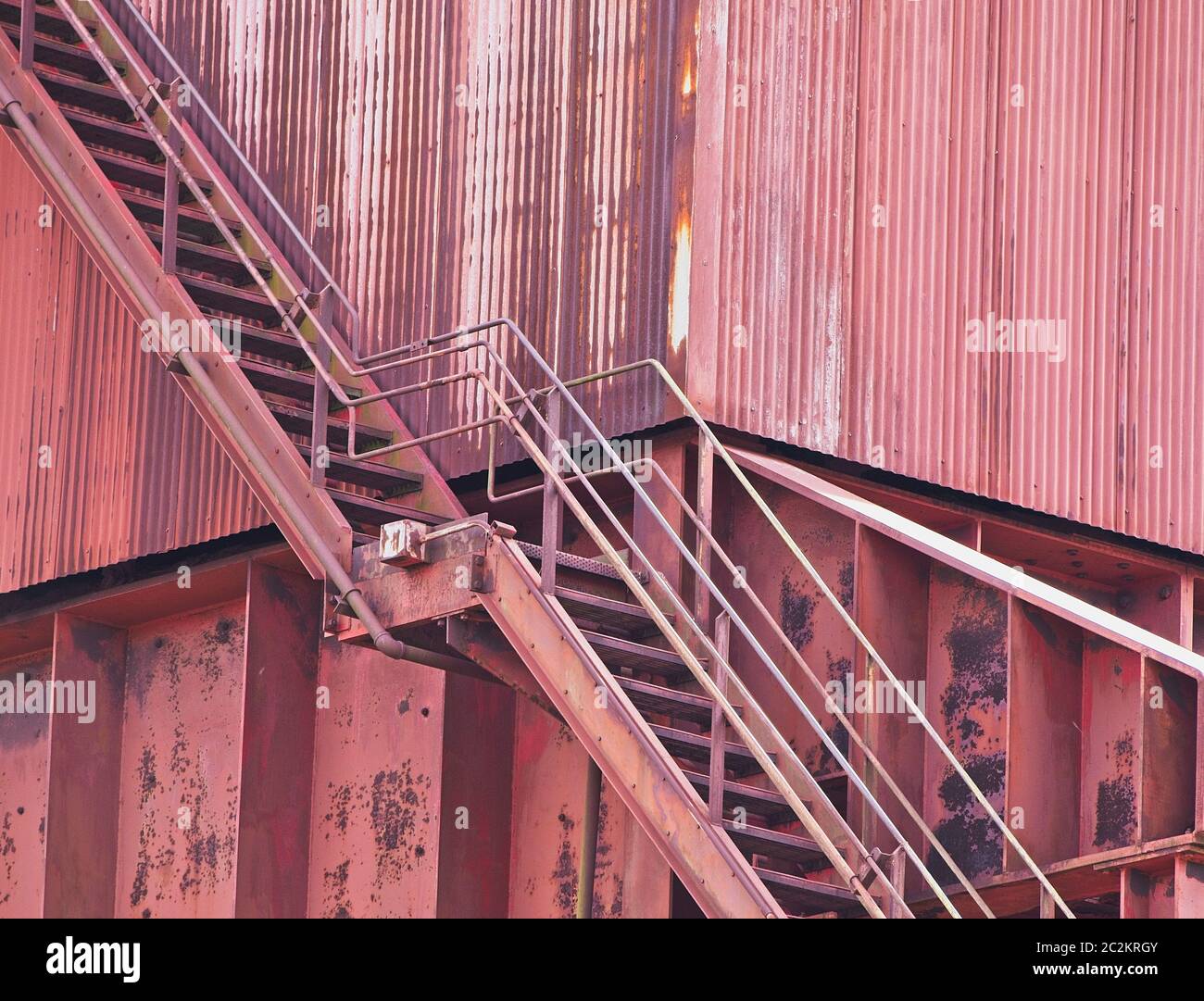 APPAREIL PHOTO NUMÉRIQUE OLYMPUS Banque D'Images