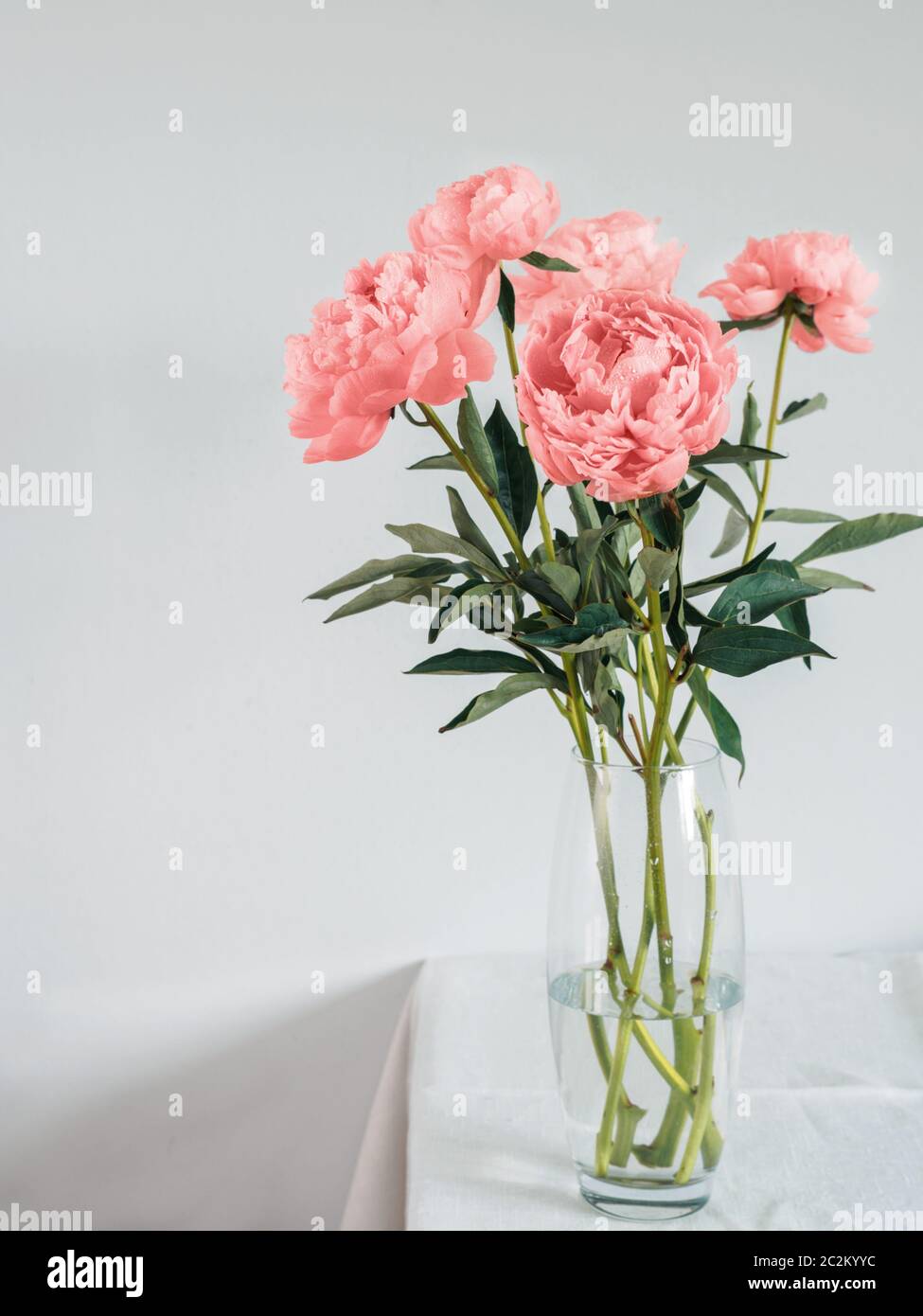 bouquet de corail vivant pivoine dans un vase sur une table blanche Banque D'Images