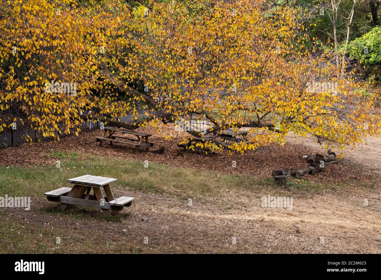 Couleur du feuillage d'automne du parc fort Tryon à fort George Manhattan Banque D'Images