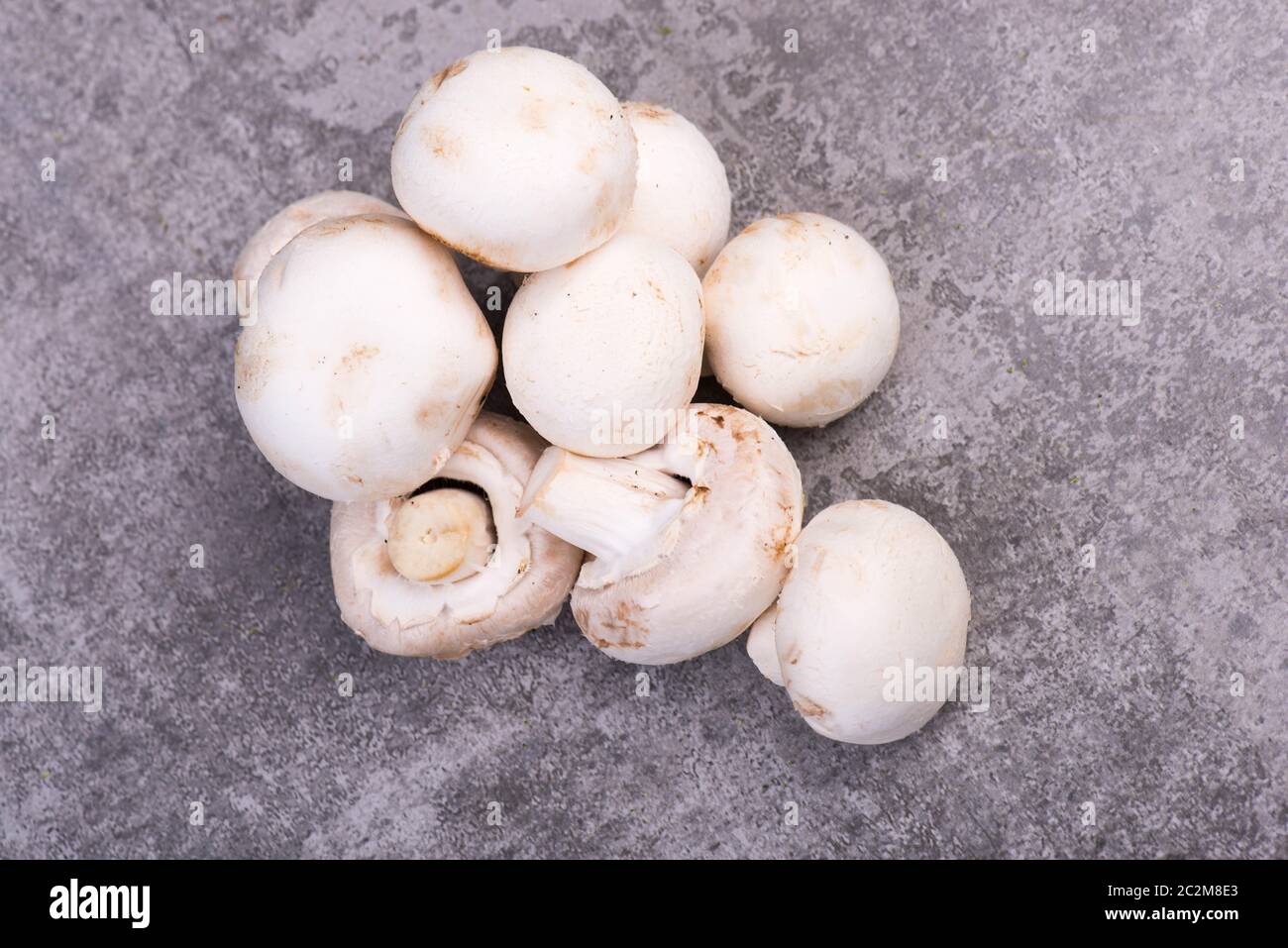 Champignons sur un bakcground texturé gris, espace de copie vide Banque D'Images