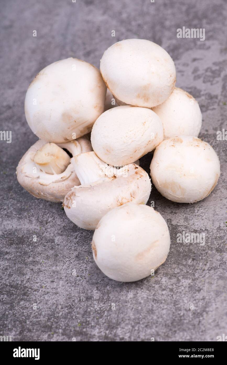 Champignons sur un bakcground texturé gris, espace de copie vide Banque D'Images