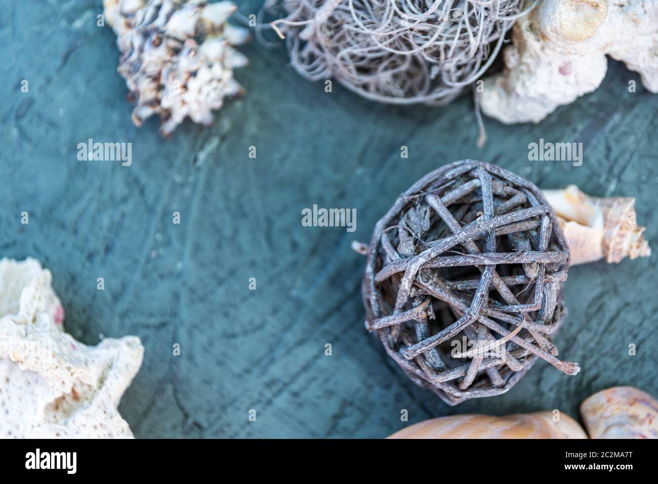 starfish à côté des rochers et des escargots Banque D'Images