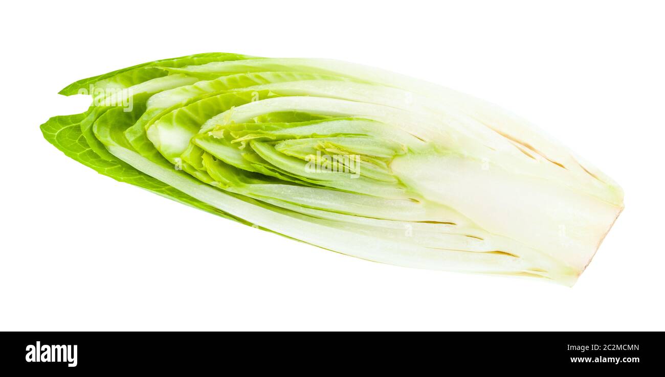 La moitié de l'endive belge (chicorée commune blanche) isolée sur fond blanc Banque D'Images