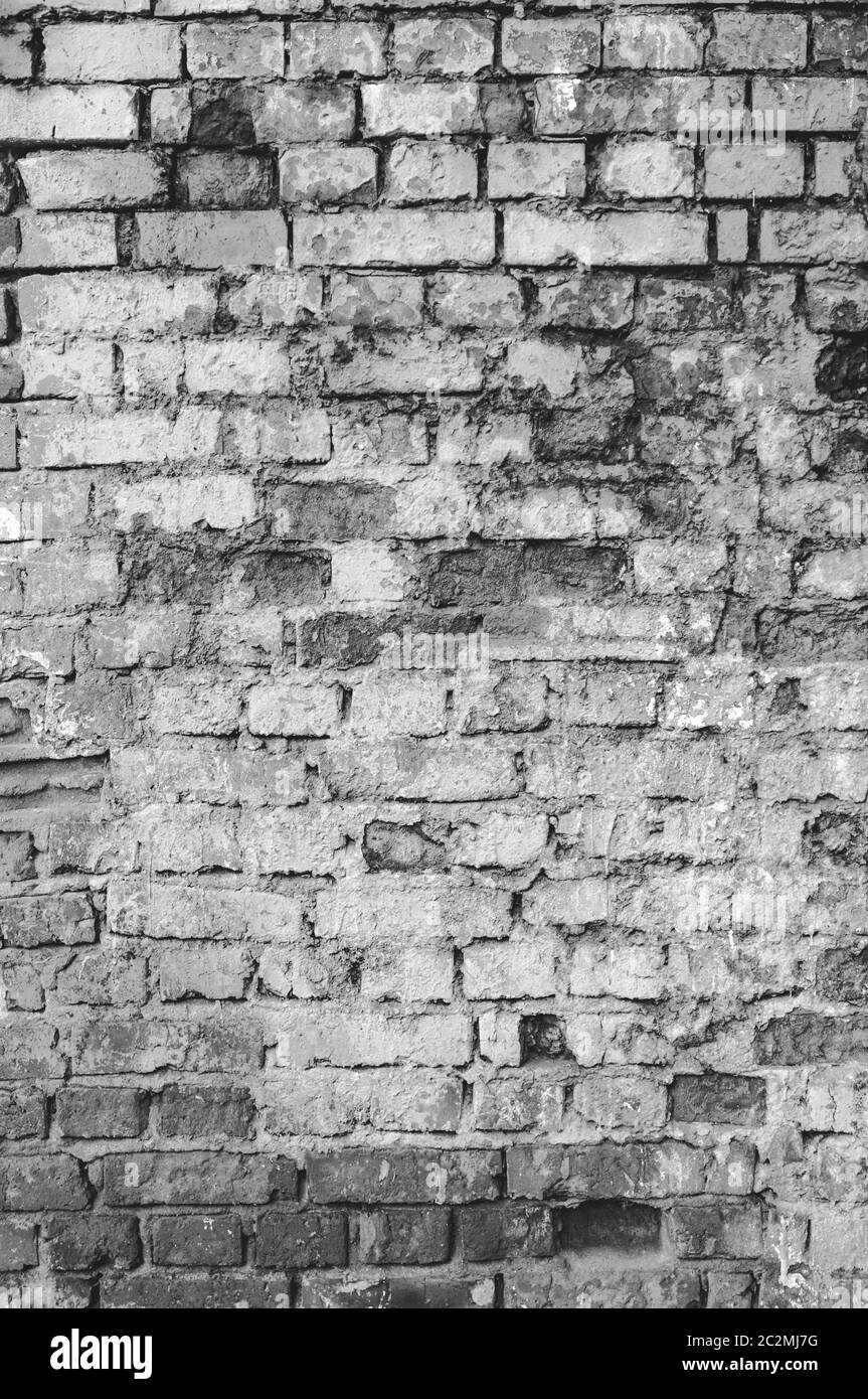 Abstract texture weathered ancien teinté gris clair en stuc et peinture de mur de briques blanches en arrière-plan, chambre rural grungy rusty Banque D'Images