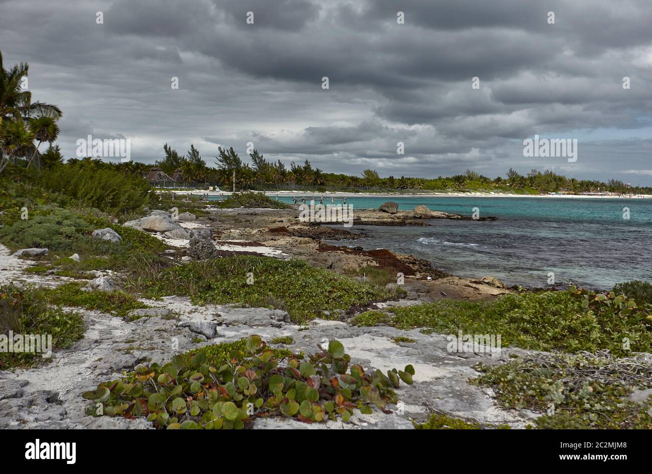 Détail de la côte mexicaine de la Riviera Maya sur la plage de Xpu-Ha : une belle plage naturelle surplombant la mer des Caraïbes. Banque D'Images