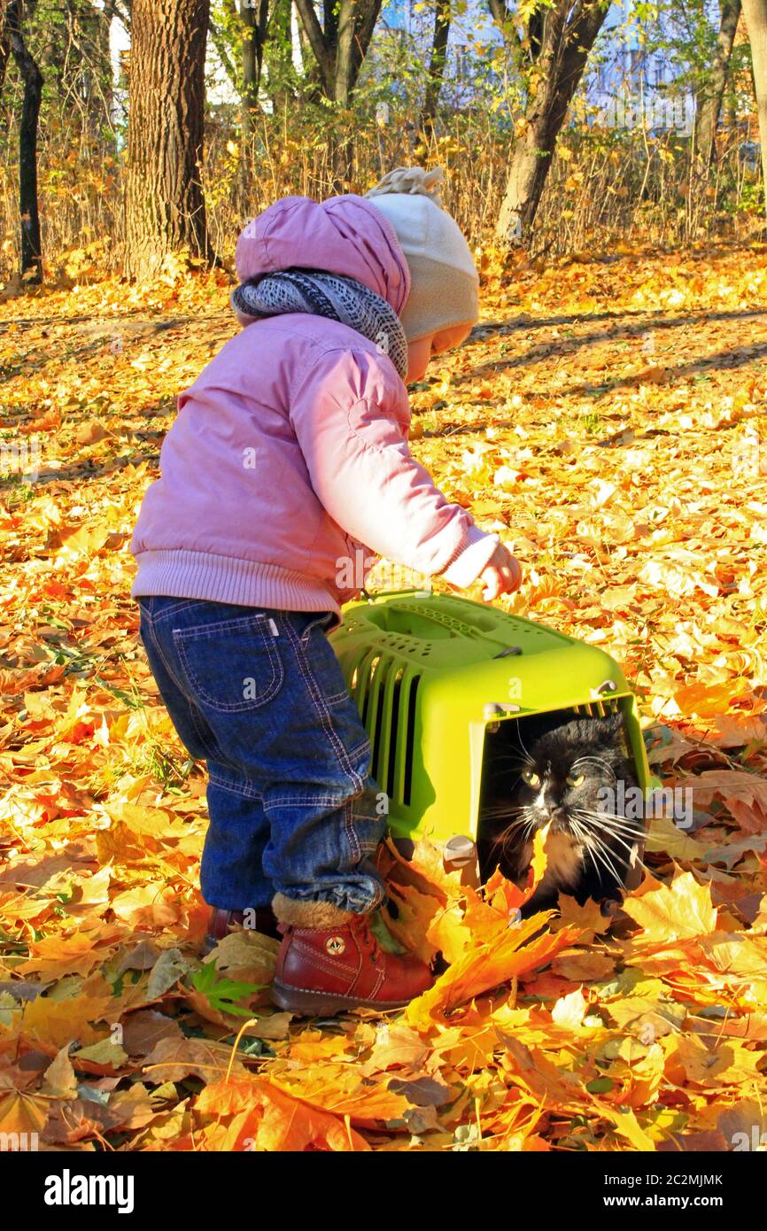 Bébé joue avec son chat en cage dans l'Autumn park Banque D'Images