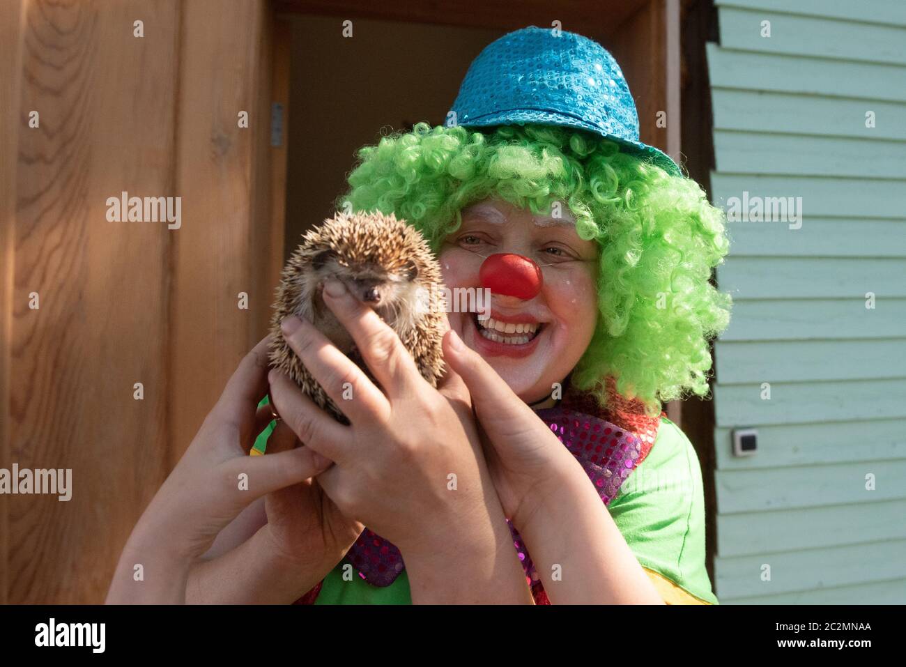 Region De Tomsk Russie 17 Juin L Hopital Clown Marina Myrina Montre Un Herisson A Dom Dobrykh Del Maison Des Bonnes Actions Une Datcha Maison D Ete Qu Elle Et Son Mari
