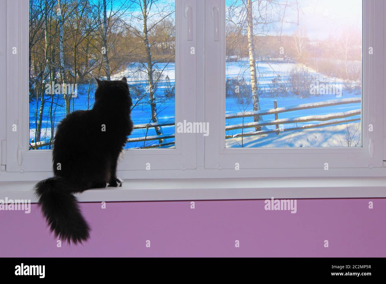 Chat noir qui regarde par la fenêtre derrière, l'hiver enneigé. Chat assis sur le rebord de la fenêtre Banque D'Images