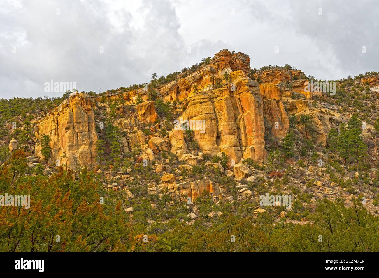 Falaises de grès sortant du désert dans la région de la Ventana, monument national El Malpais, Nouveau-Mexique Banque D'Images