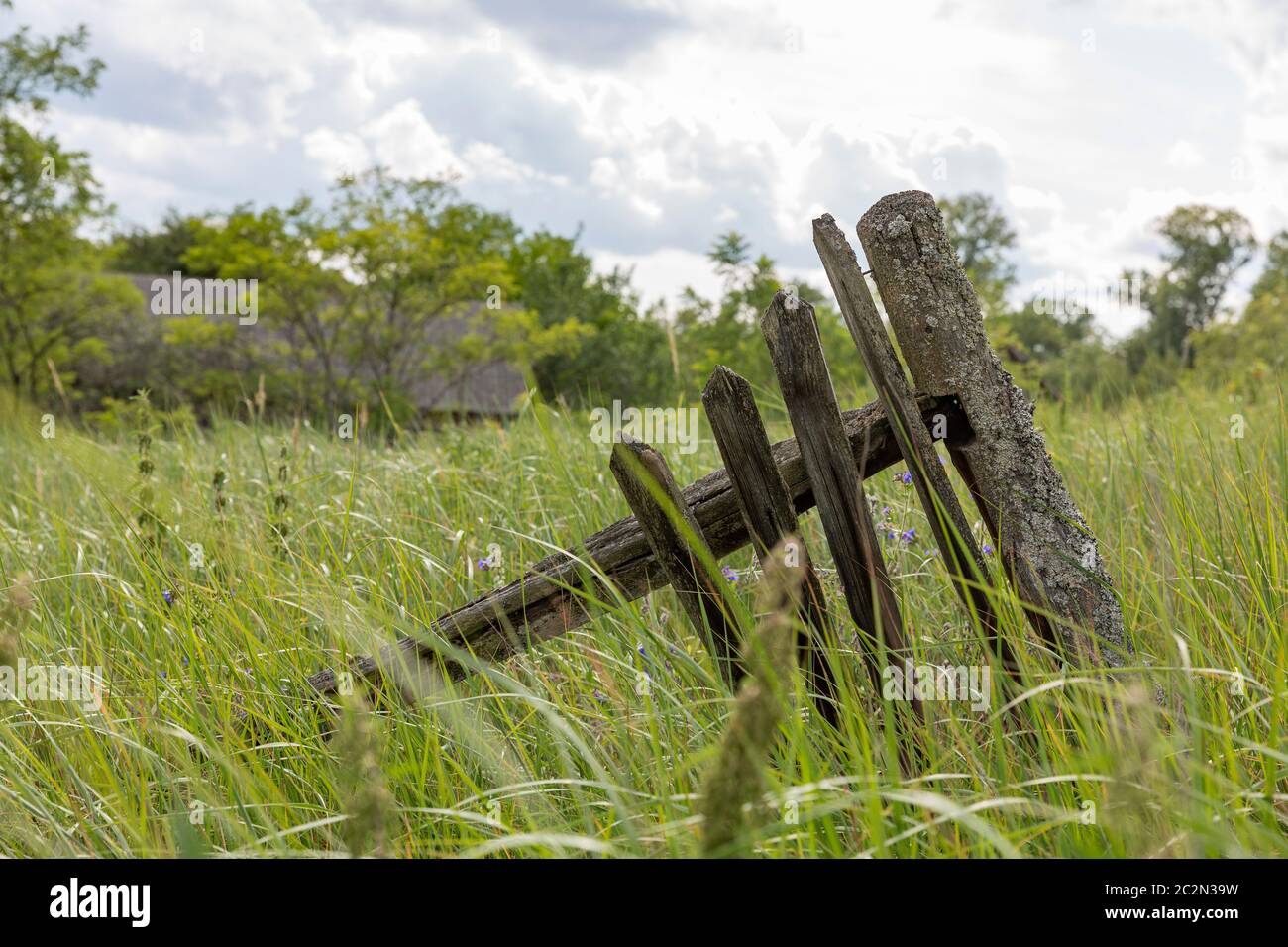 Partie d'une clôture en bois abîmé, recouverte d'herbe Banque D'Images