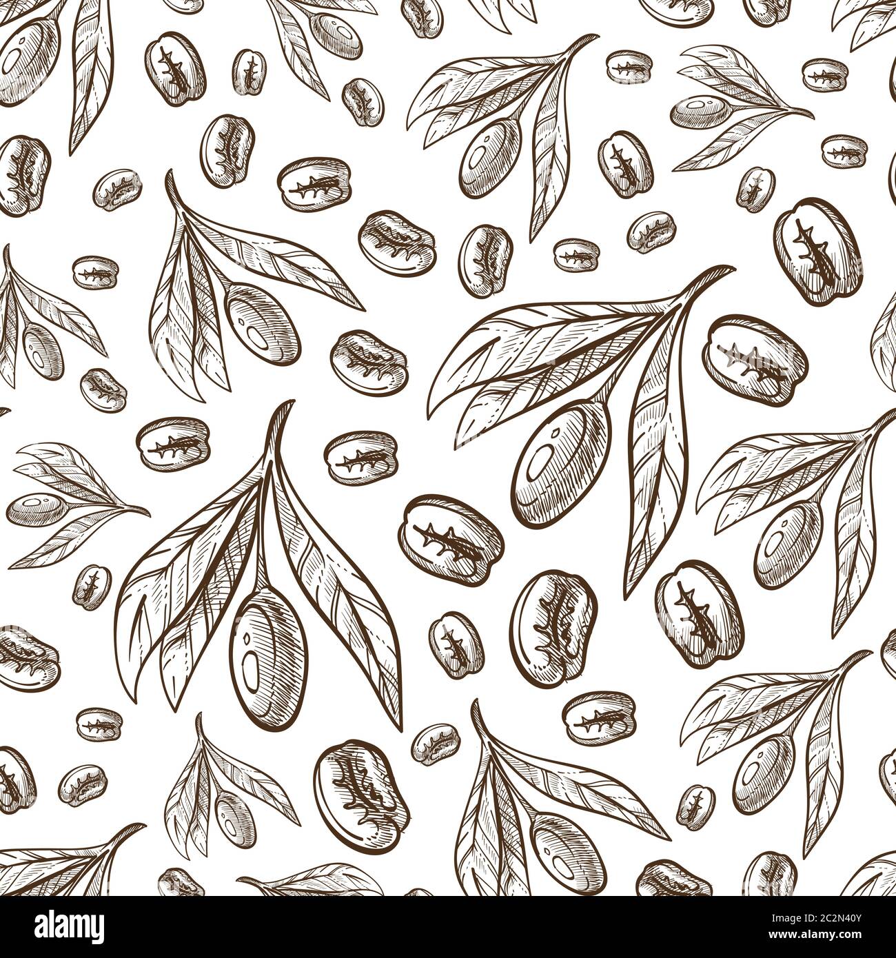 Grains de café et feuilles de Coffea à motif sans couture Illustration de Vecteur