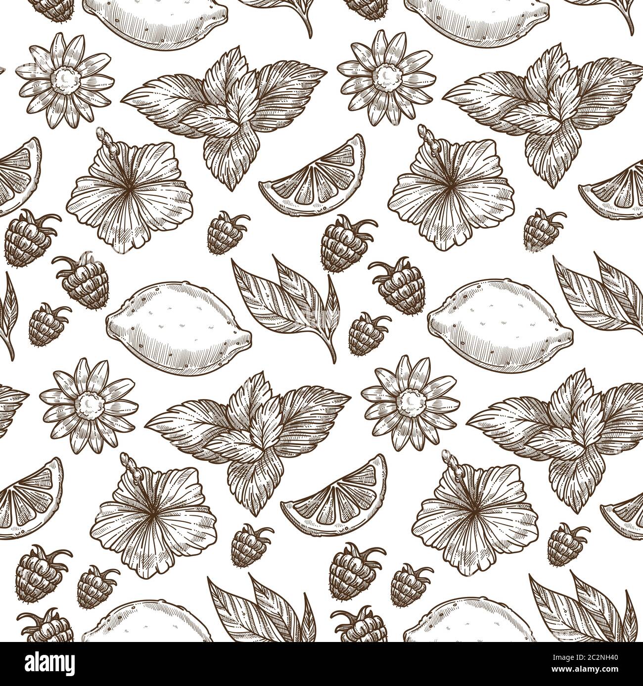 Citron et framboises, fleurs et feuilles sans couture Illustration de Vecteur