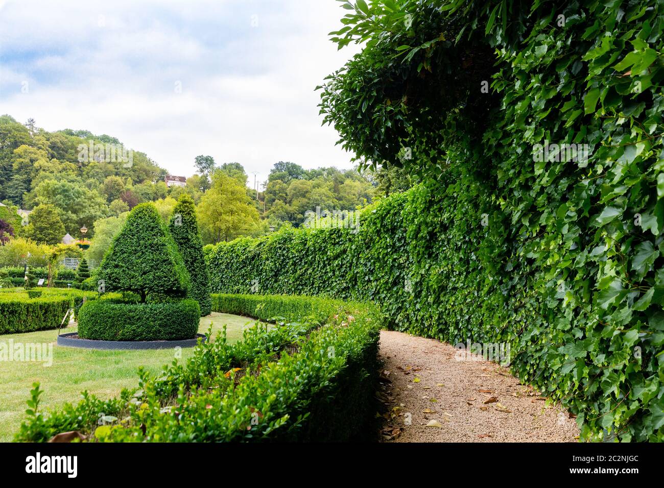 Figures en forme de tourbillon et de cône des buissons, parc d'été en Europe. Jardinage professionnel, paysage vert européen, décoration de plantes de jardin Banque D'Images