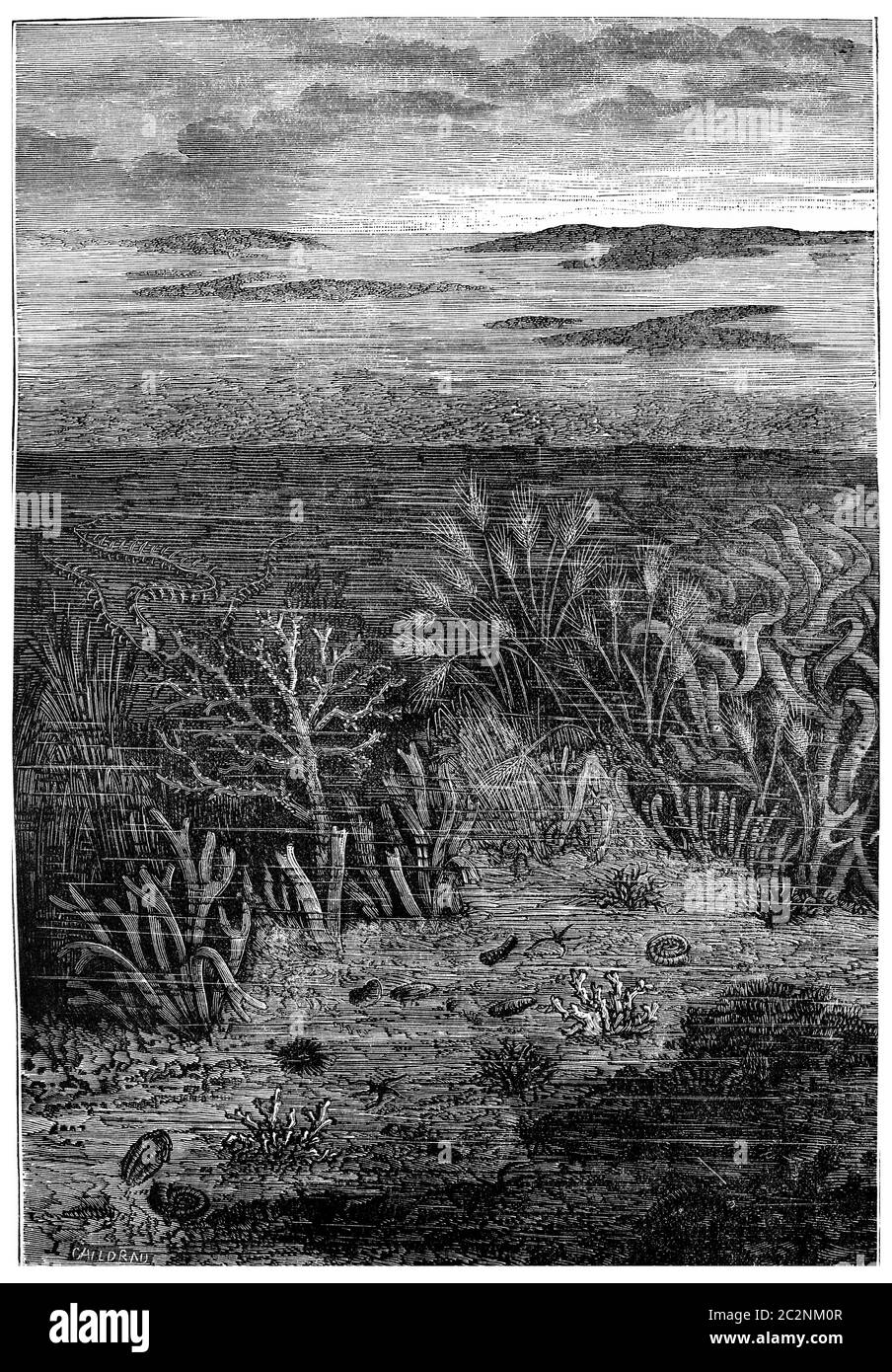 Les premiers jours de l'âge Silurien, les seules eaux sont habitées.le monde avant la création de l'homme, vintage d'illustration gravée. La terre avant l'homme – Banque D'Images