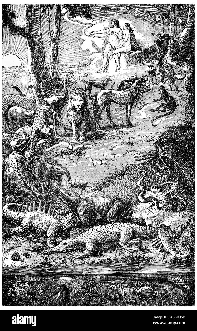 L'ascension de la vie, vintage gravé illustration. La terre avant l'homme – 1886. Banque D'Images