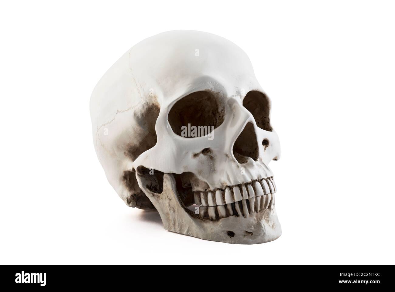 Crâne humain isolé sur fond blanc avec clipping path Banque D'Images