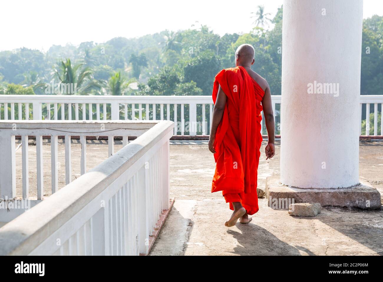 Dans le vieux temple bouddhiste Bouddha. Ceylan, patrimoine de l'Unesco. La culture de l'Asie, le bouddhisme religion Banque D'Images