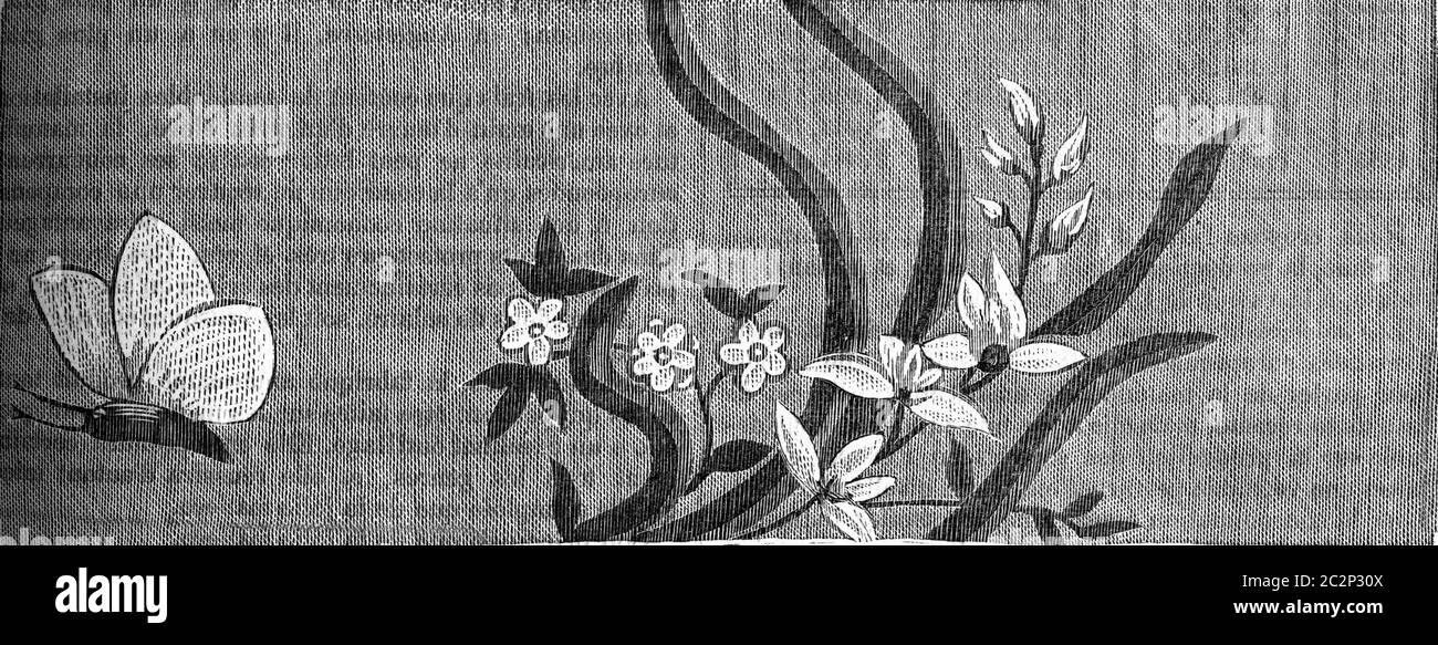 French Silk, deuxième moitié du XVIIIe siècle (1774-1793), illustration gravée d'époque. Encyclopédie industrielle E.-O. Lami - 1875. Banque D'Images